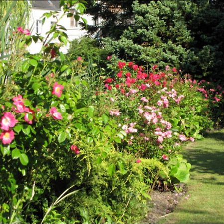 Bed and Breakfast Au Jardin Des Deux Ponts Abbeville Exteriér fotografie