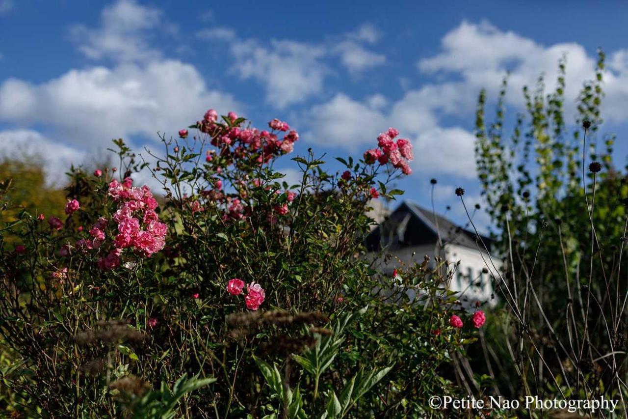 Bed and Breakfast Au Jardin Des Deux Ponts Abbeville Exteriér fotografie